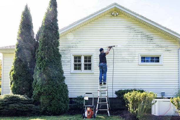 Best Garage Pressure Washing  in Foreman, AR