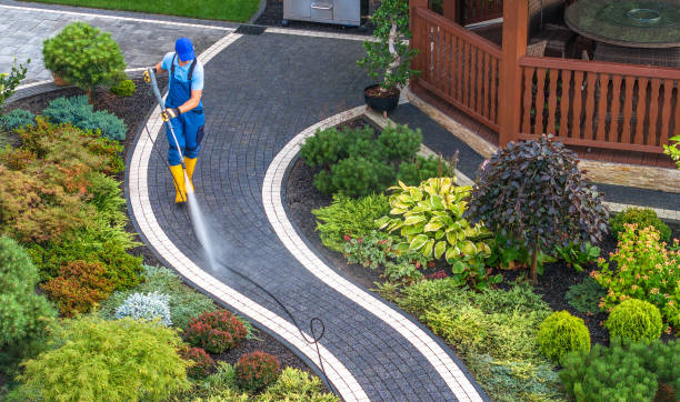 Best Local Pressure Washing Services  in Foreman, AR